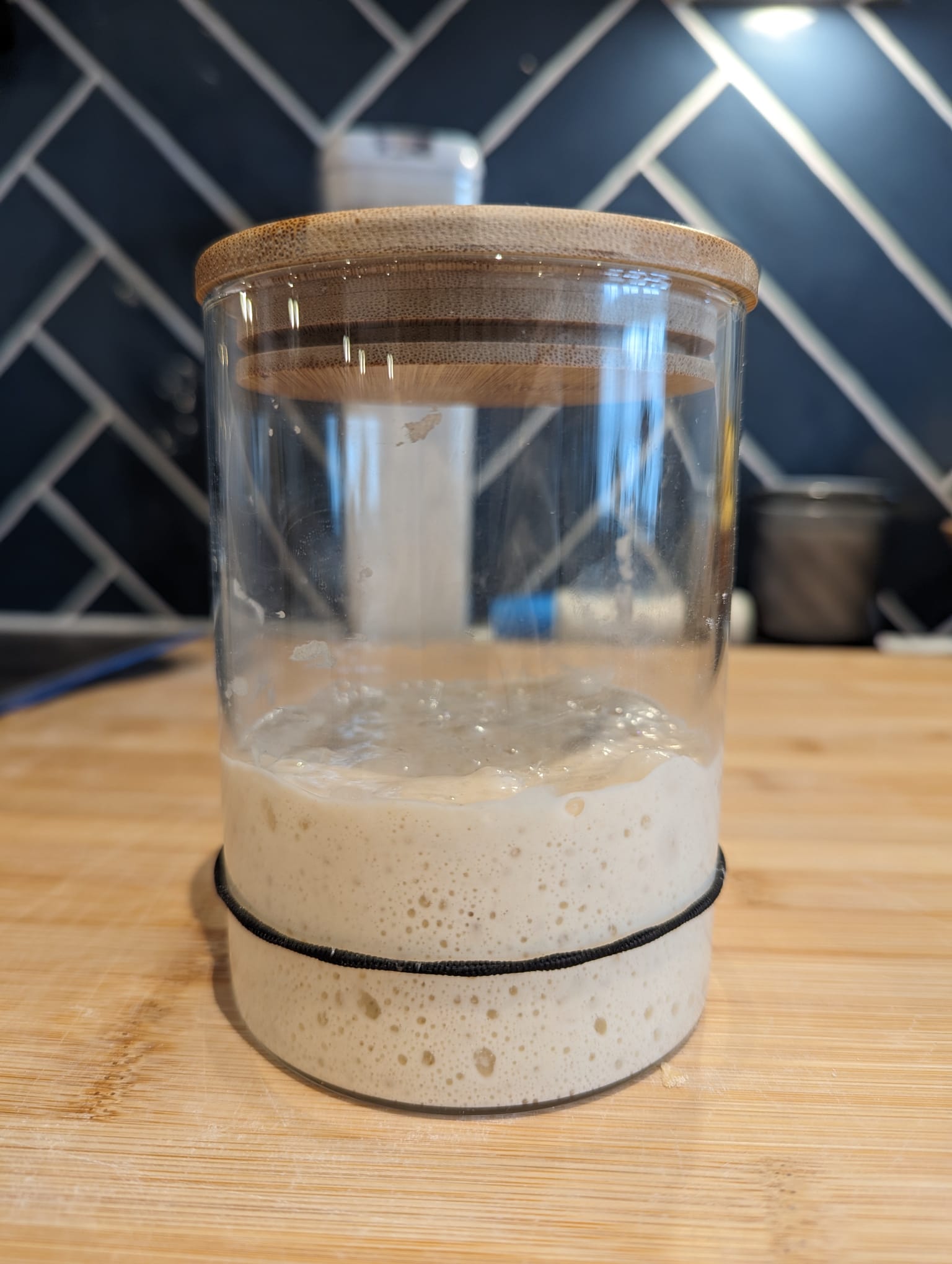 Jarred sourdough starter doubled in size